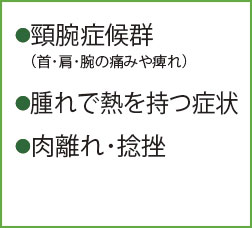 ●頸腕症候群（首･肩･腕の痛みや晴れ）　●歩行困難　●寝たきり